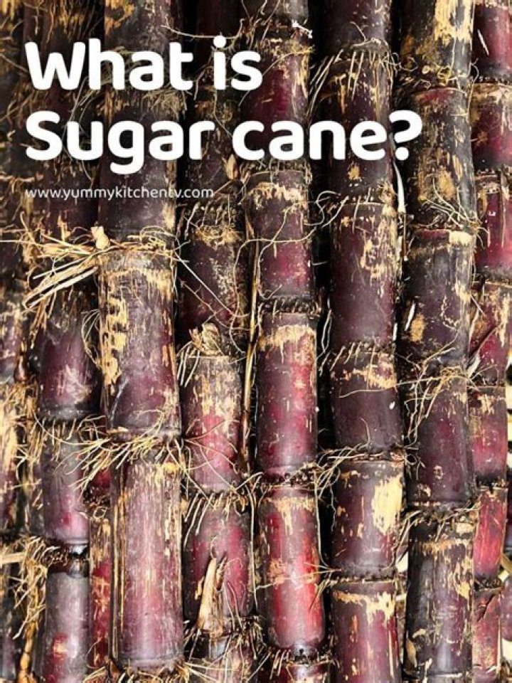 When did sugar cane originate