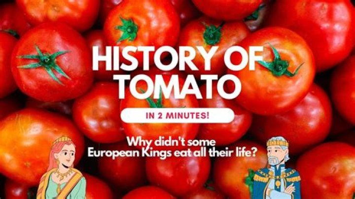 When did tomatoes become popular