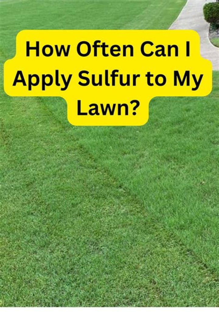 When should I add sulfur to my lawn