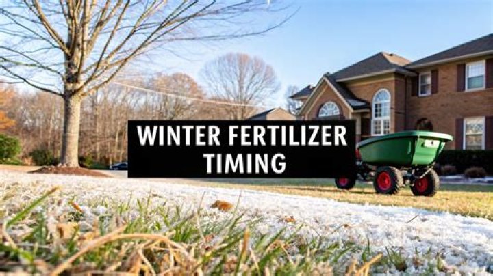 When should I apply winter fertilizer in Texas