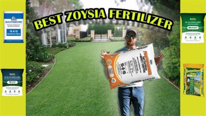 When should I fertilize in North Texas
