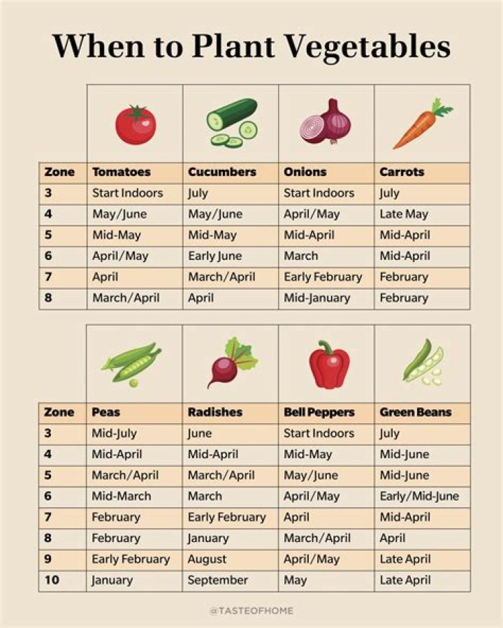 When should I plant my garden in MN