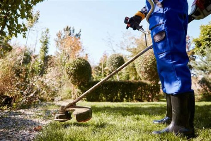 When should I put gypsum on my lawn