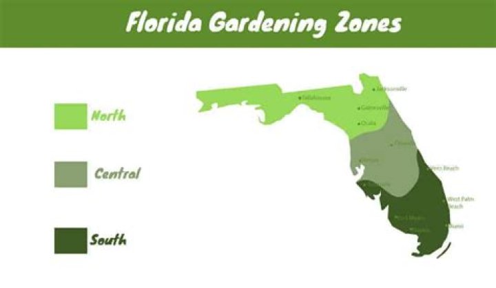 When should I start a garden in Florida