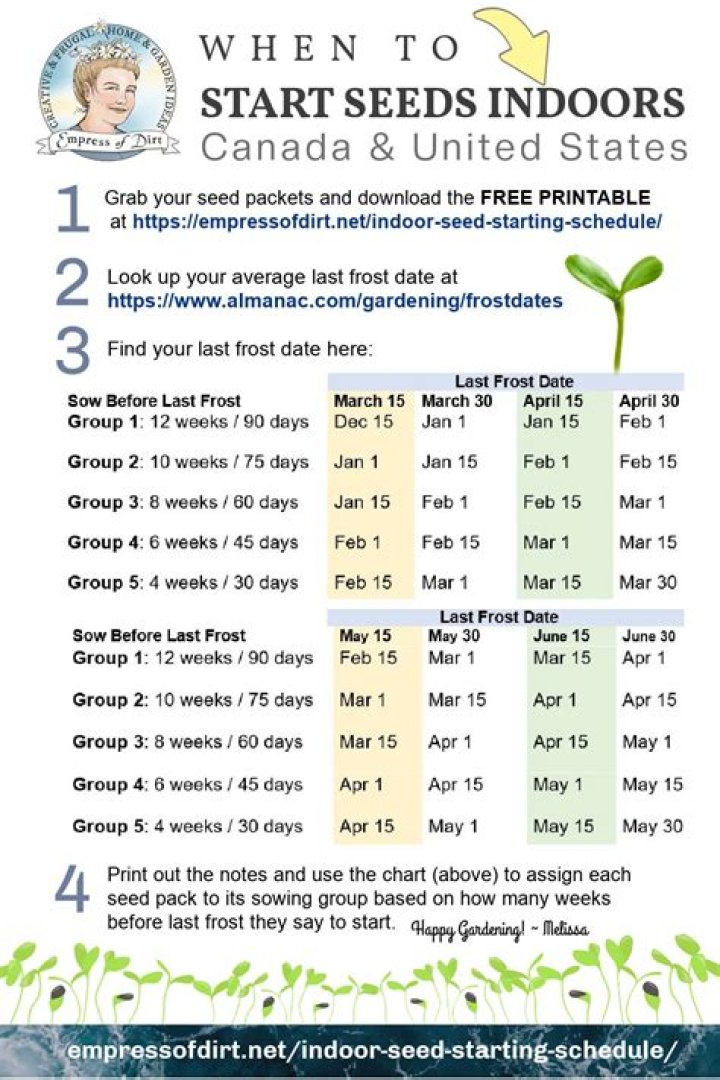 When should I start plants inside