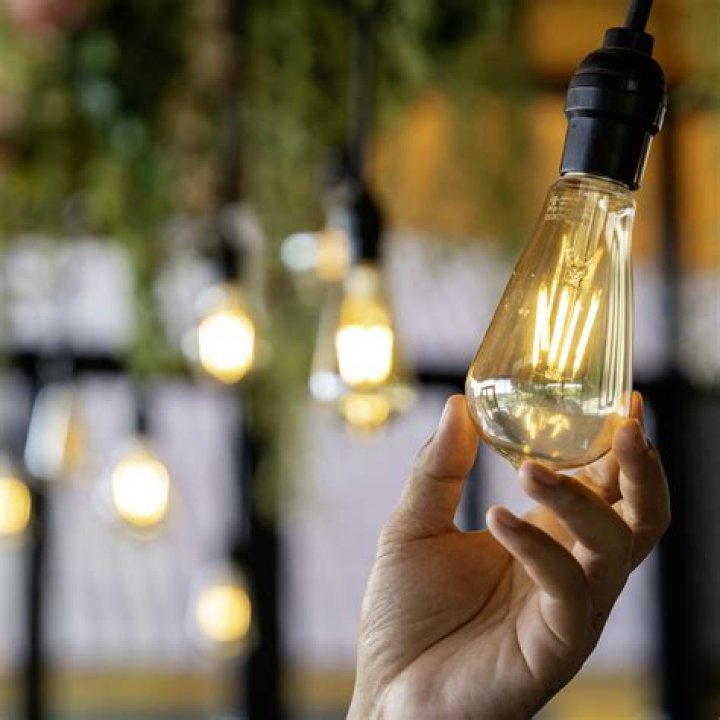 When should you start bulbs