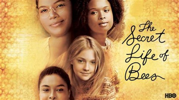 When Was The Secret Life of Bees written