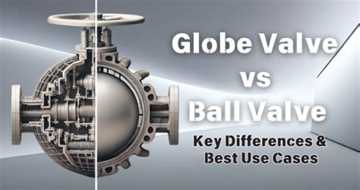 When would you use a globe valve