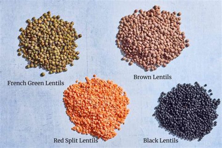 Where are lentils native to