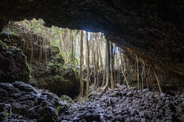 Where are the largest lava tube caves found