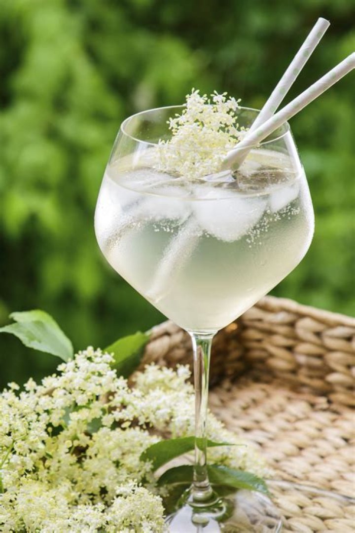 Where can elderflower be found