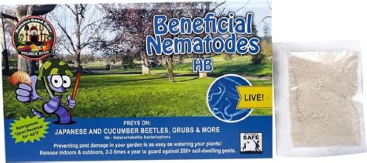 Where can I buy nematodes