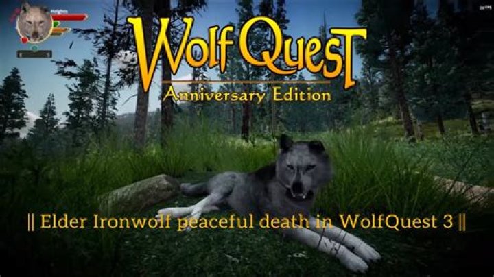 Where can I find elk in Wolfquest 3