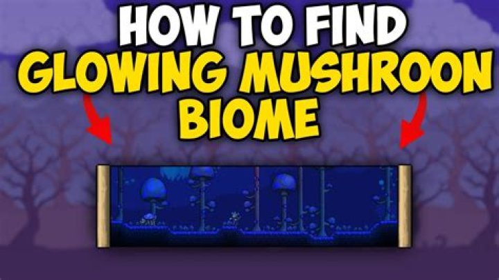 Where can I find glowing mushrooms