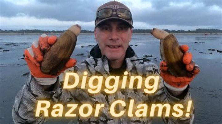 Where can I get razor clamming in Oregon