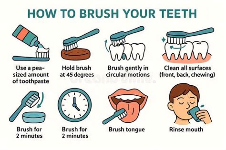 Where can I take my brush in Nashville