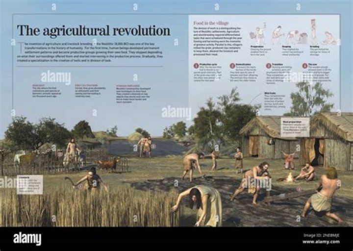 Where did Neolithic Revolution start