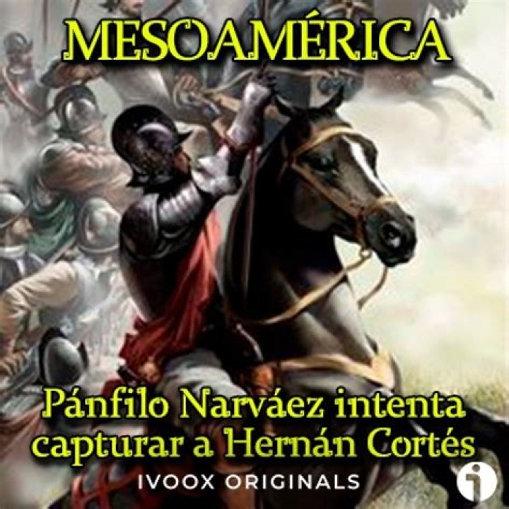 Where did Panfilo de Narvaez come from
