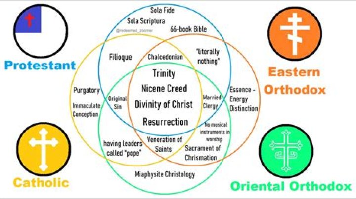 Where did the term Protestant originate