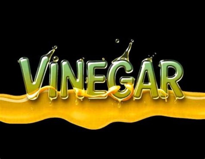Where did the word vinegar come from
