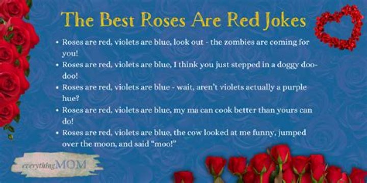 Where do the best roses come from