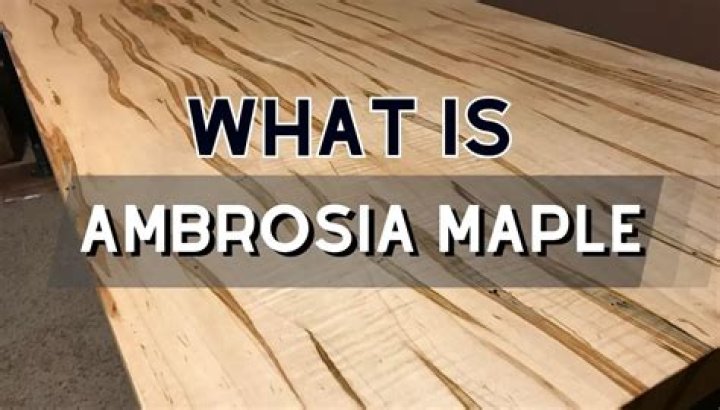 Where does Ambrosia wood come from
