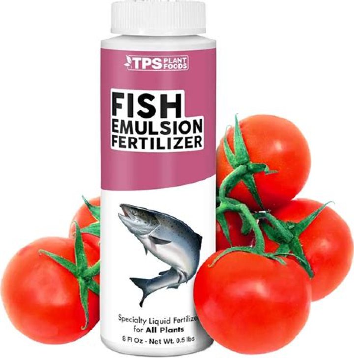 Where does fish emulsion come from
