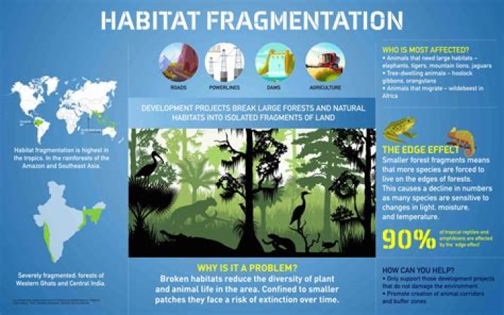 Where does habitat fragmentation occur