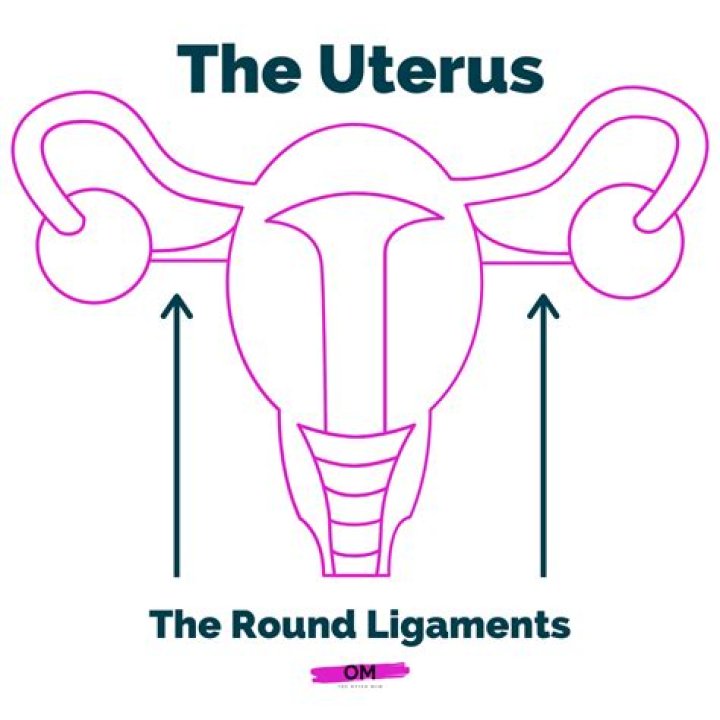 Where does the round ligament attach