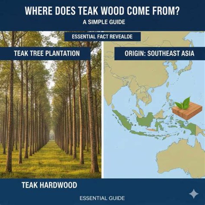 Where does wood betony grow