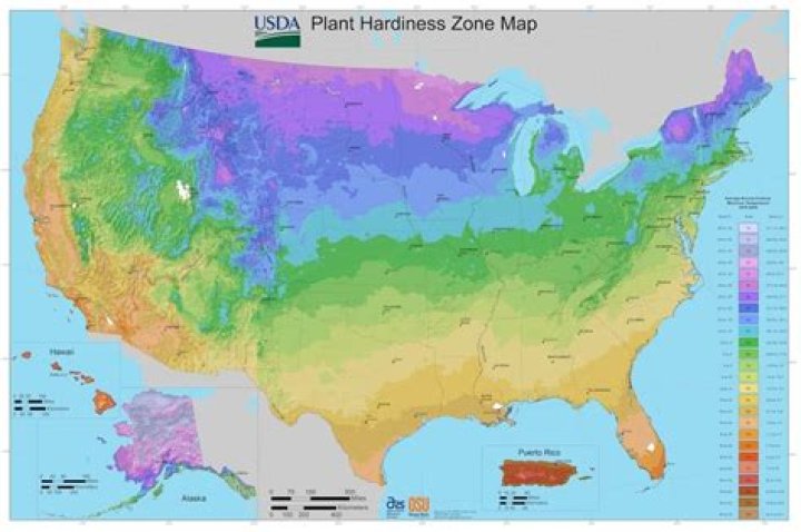 Where in the US can you grow citrus