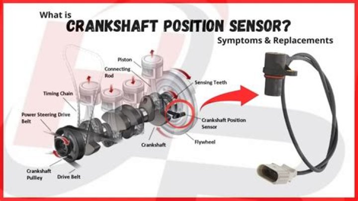 Where is the CKP sensor located