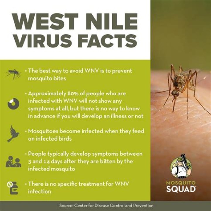 Where is the West Nile virus most commonly found