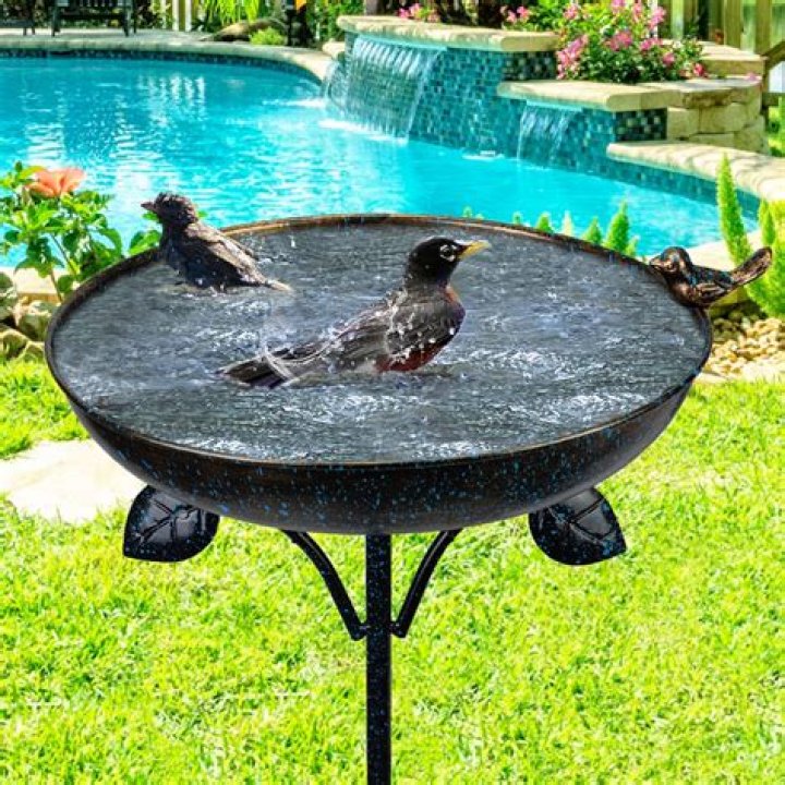 Where should I place a bird bath in my yard
