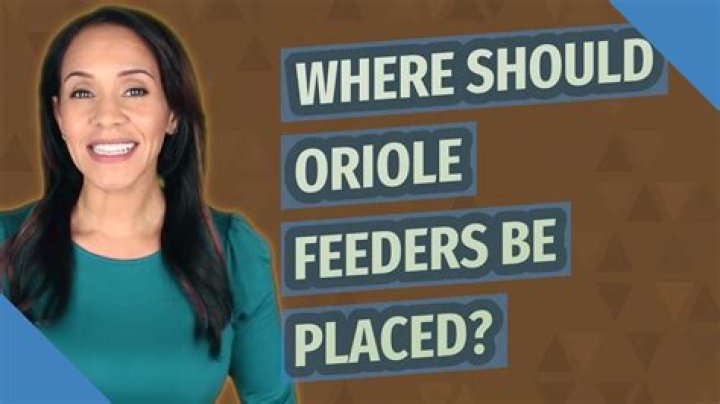 Where should Oriole feeders be placed