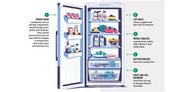 Where should wine be stored in the fridge