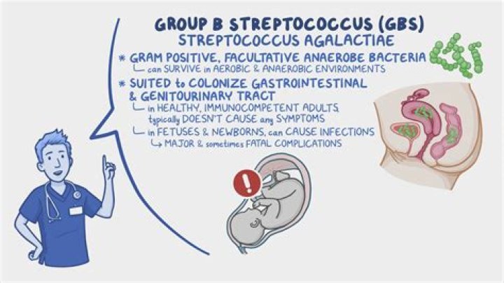 Which antibiotics treat group B strep UTI