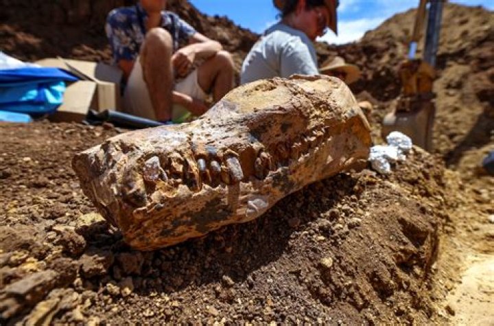 Which archaeologist is known for his discovery of ancient Mycenaean art and artifacts
