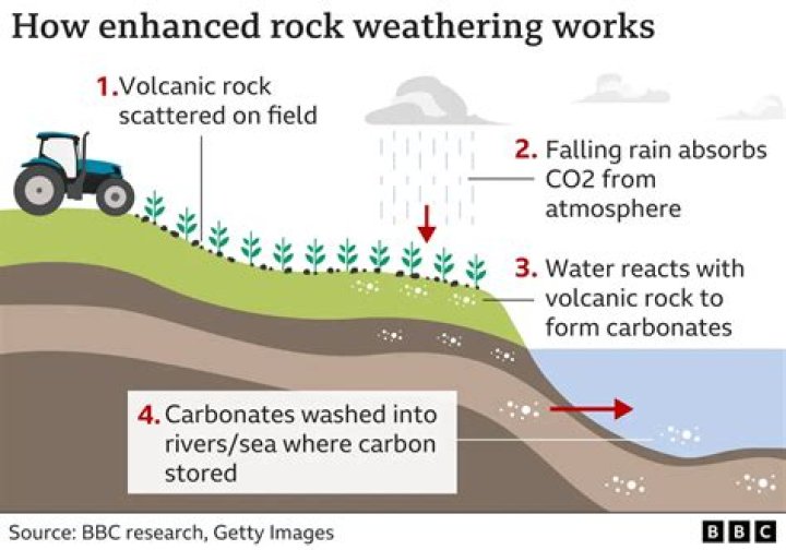 Which are factors that influence the type and rate of weathering a rock undergoes