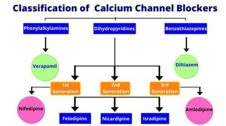 Which calcium channel blockers are dihydropyridine