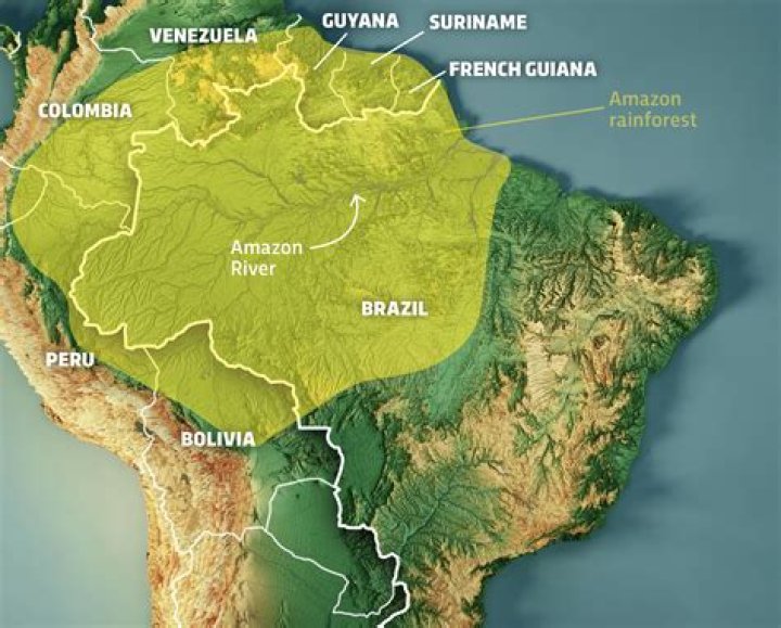 Which countries are drained by Amazon basin