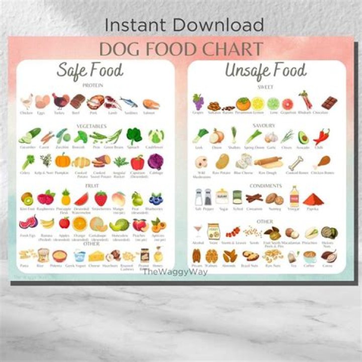 Which dog foods are on the recall list