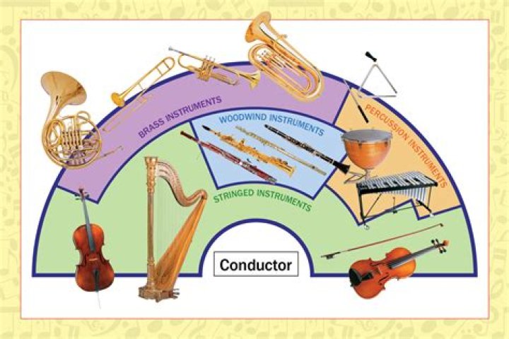 Which family has instruments that can be played either arco or pizzicato