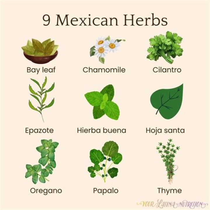 Which herbs have the most iron