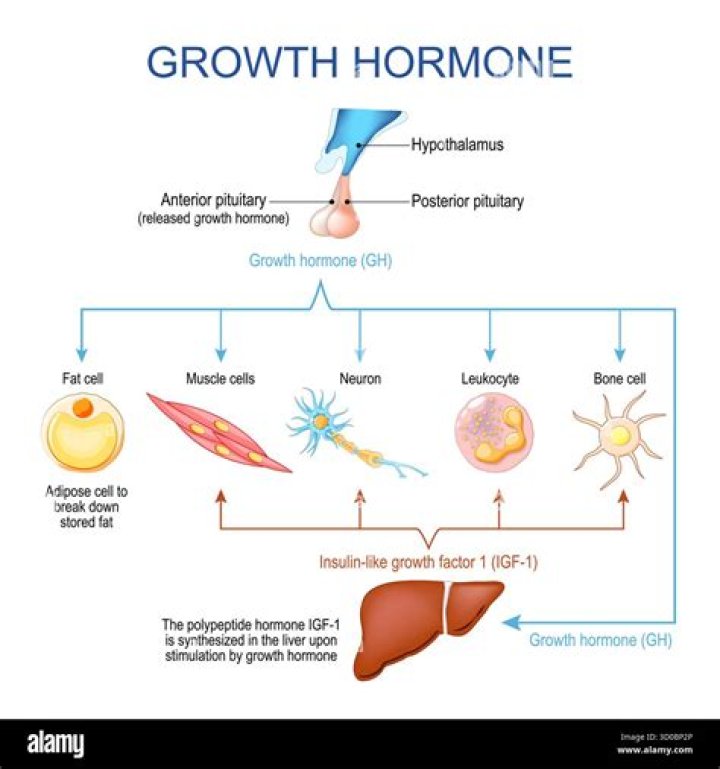 Which hormone is called maternal growth hormone of pregnancy