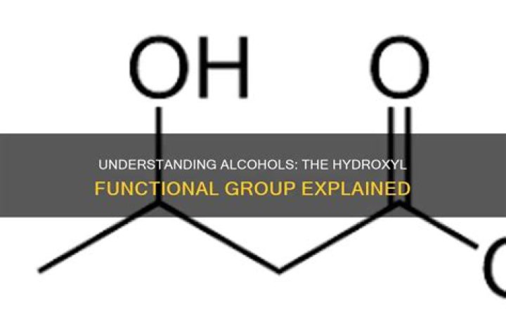 Which is a hydroxyl functional group