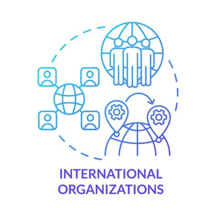 Which is an example of an intergovernmental organization