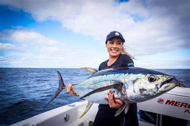 Which is better albacore or yellowfin tuna