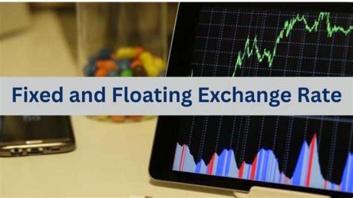 Which is better fixed or floating exchange rate