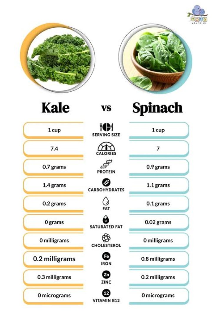 Which is more nutritious kale or spinach